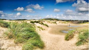 Door de duinen aar de Noordzee