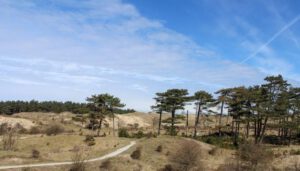 Fietsen in de duinen van Bloemendaal