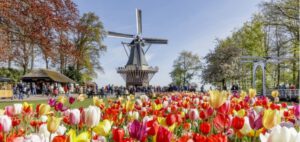 Keukenhof 2023