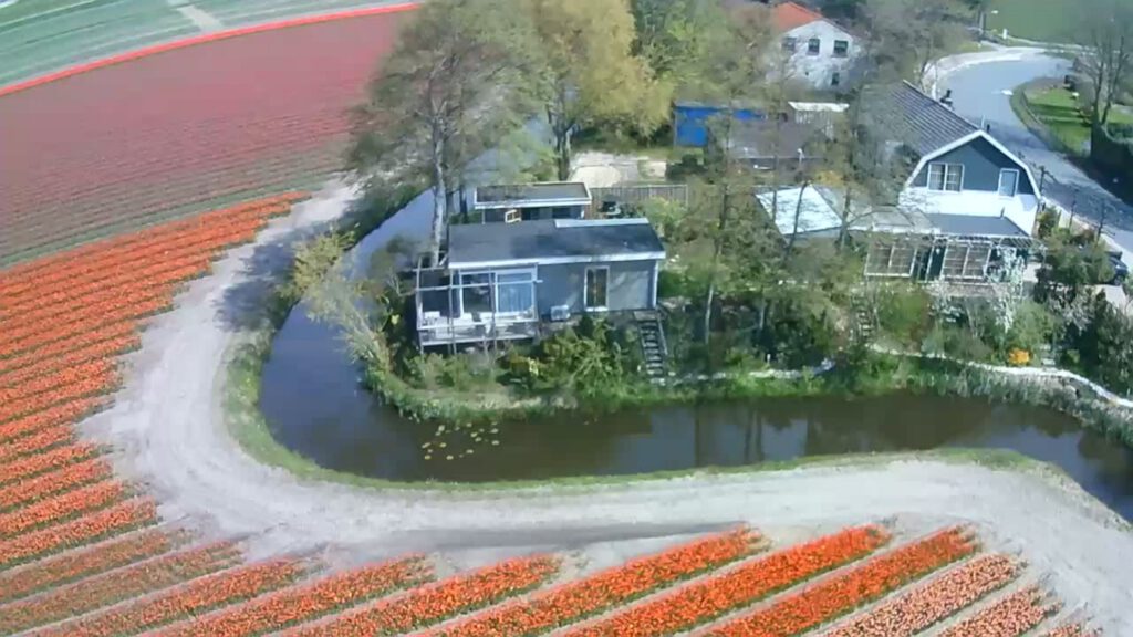 duin en bloemenzicht vanuit de lucht.